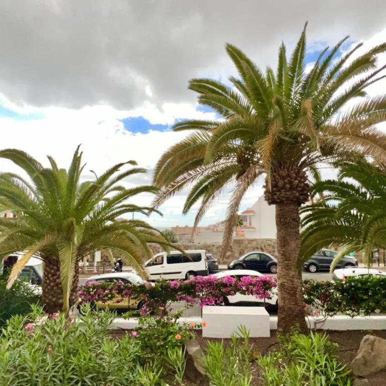 Sunset en Los Cristianos - Apartamento de 1 dormitorio - 18