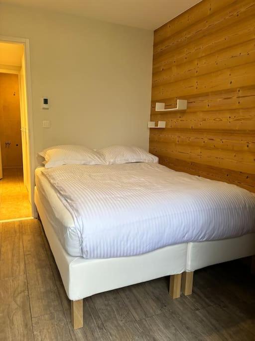 Le Savoisien, Appartement in centrum Chatel 150 m van ski-lift - Appartement 3 Chambres - 14