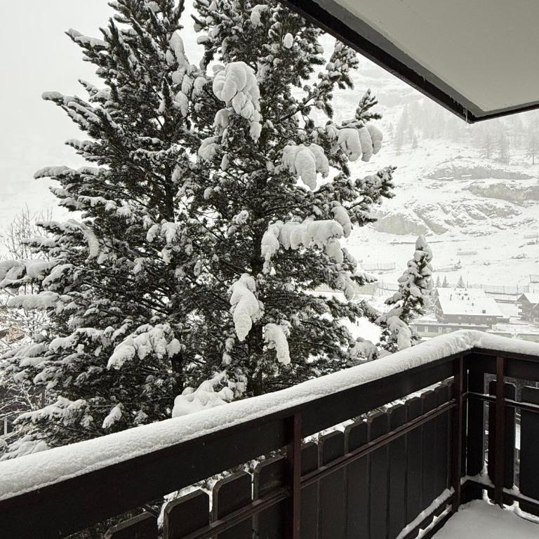 Apartment Snowball, Modern, cosy, Matterhorn views - Apartamento de 2 dormitorios - 51