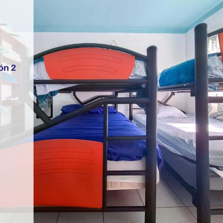 Playa House 3 Bedrooms Pool and More - Apartment - 10