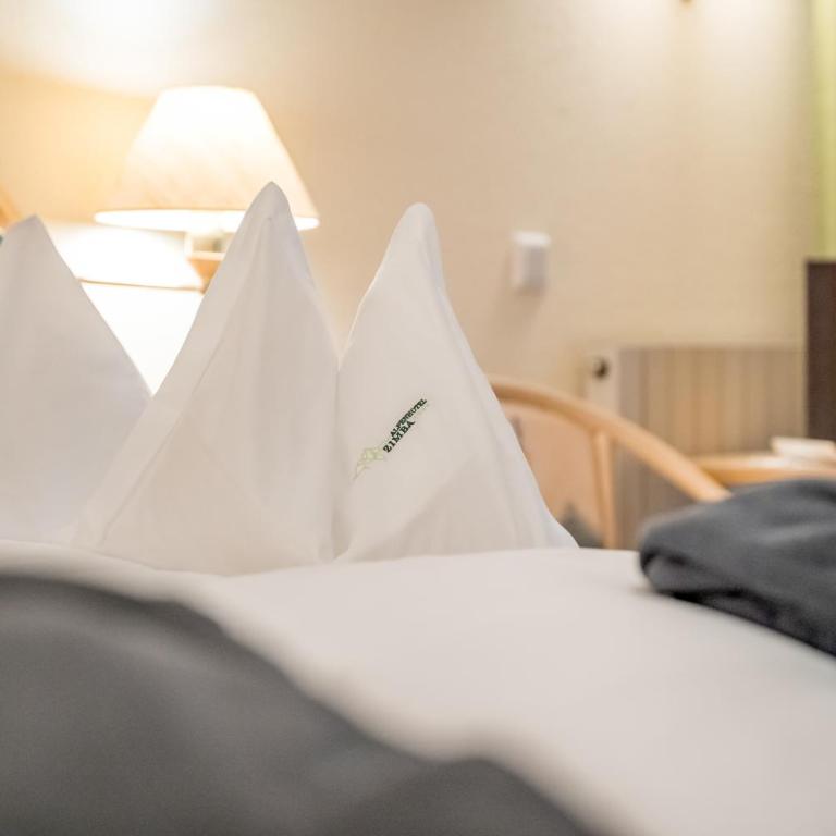 Alpenhotel Zimba - Camera Matrimoniale con Balcone (2 Adulti + 1 Bambino) - 5