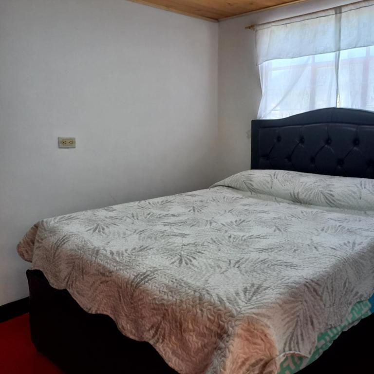 MariaAuxiliadora - Apartamento - 10