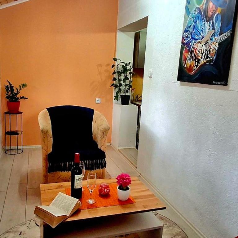 Villa Ruža Apartments - Apartman s 1 Spavaćom Sobom i Terasom - 5