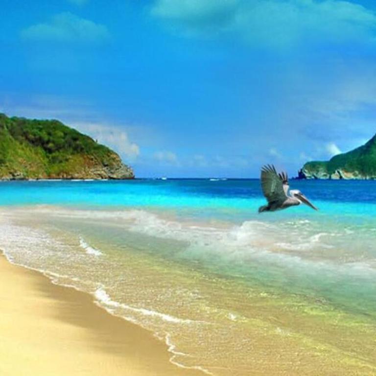 Disfruta el Caribe - One-Bedroom Apartment - 3