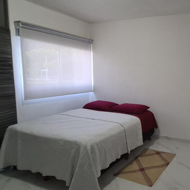 Departamento Moderno y Cómodo - Apartamento de 2 dormitorios - 7