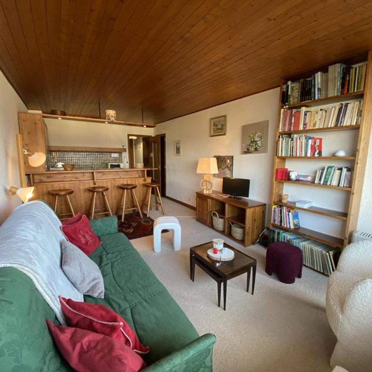 Studio cosy pour 2 personnes proche des pistes, vue sur les Aravis - FR-1-733-157 - Studio - 1