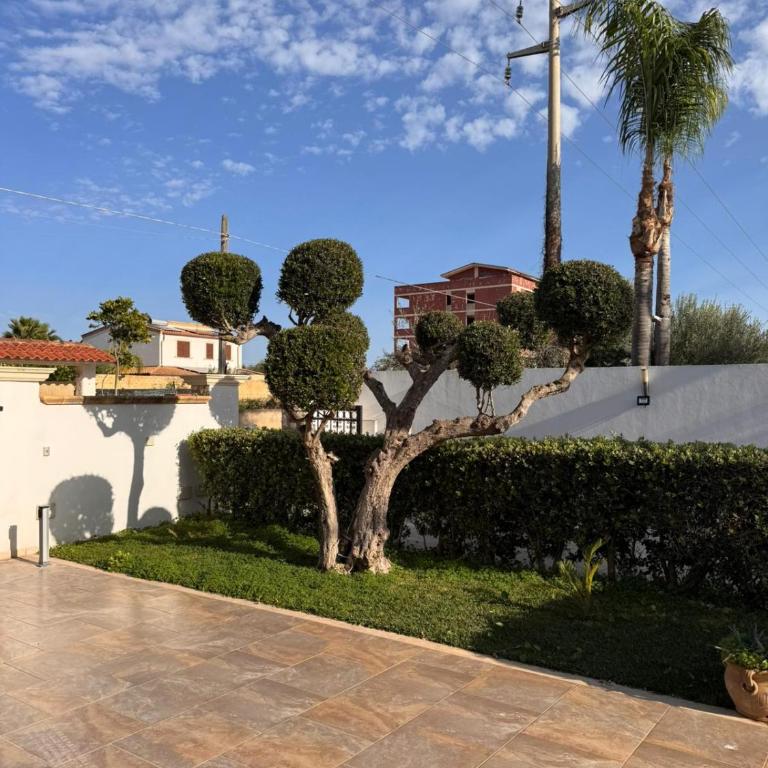Oasi Tortuga Residence Appartamento 2 con Piscina e Barbecue h 24 - Appartamento con 1 Camera da Letto - 16