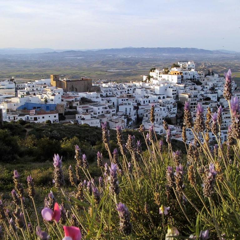 Casa Alta Mojacar Pueblo - Casa con 1 dormitorio - 27