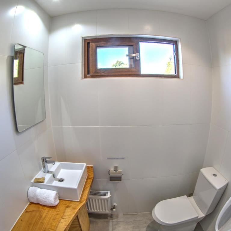 Ruka Lobos - Habitación Doble con bañera de hidromasaje - 15