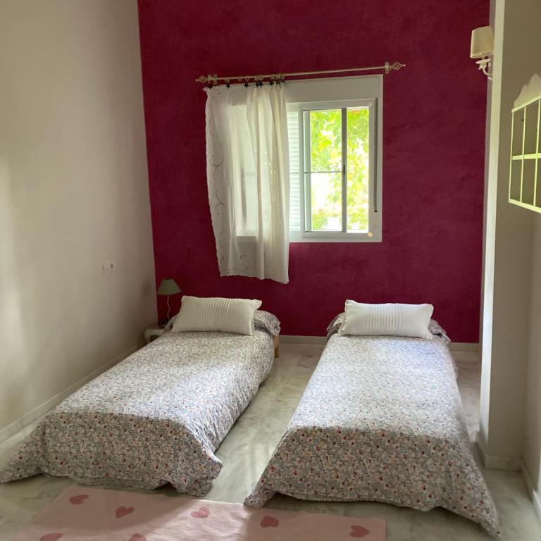 Cocotera - Casa de 5 dormitorios - 8