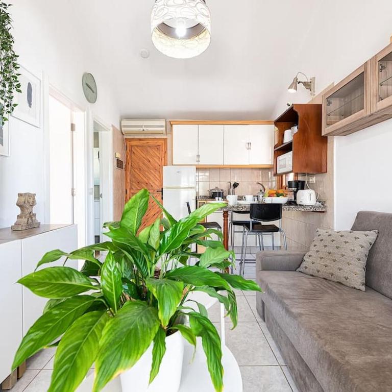 Bungalow Arcos 78 - One-Bedroom House - 20