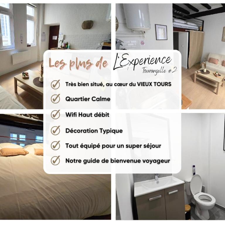 L'Expérience Tourangelle #1 - Appartamento con 1 Camera da Letto - 2