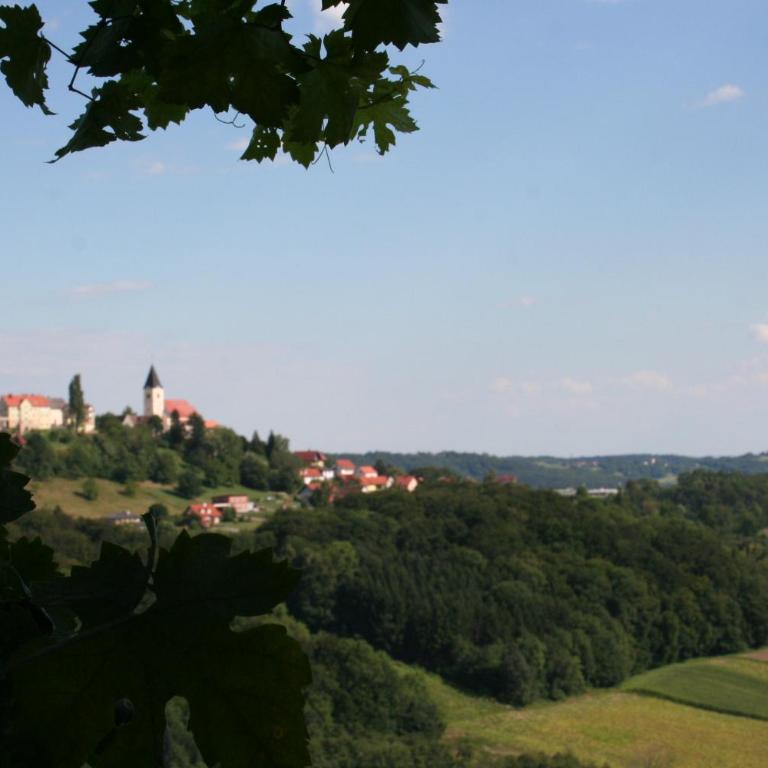 Rebenchalet - Ferienhaus mit 4 Zimmern - 6