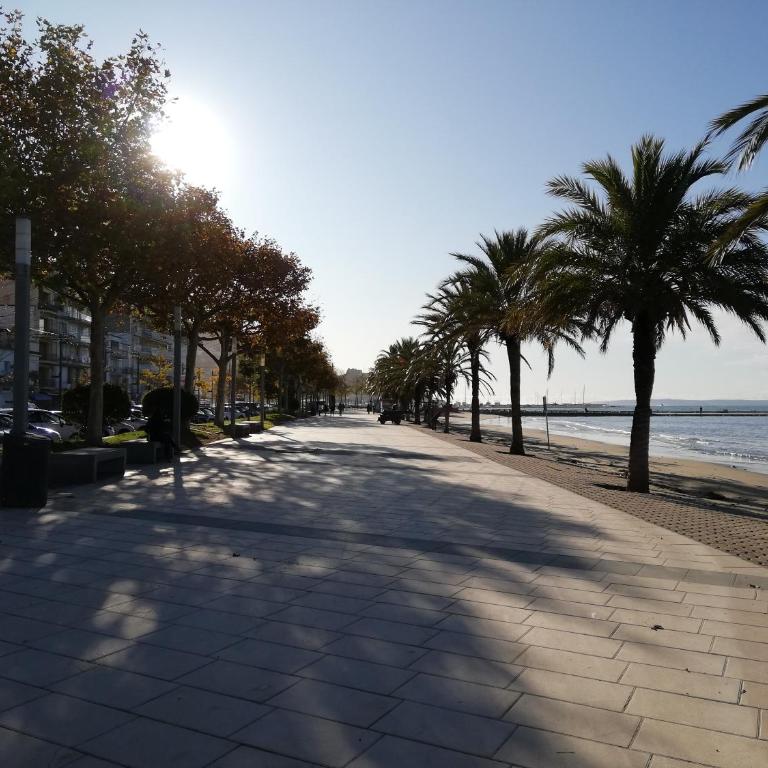 Global Immo 2166 ROCMAR - Apartamento - 15