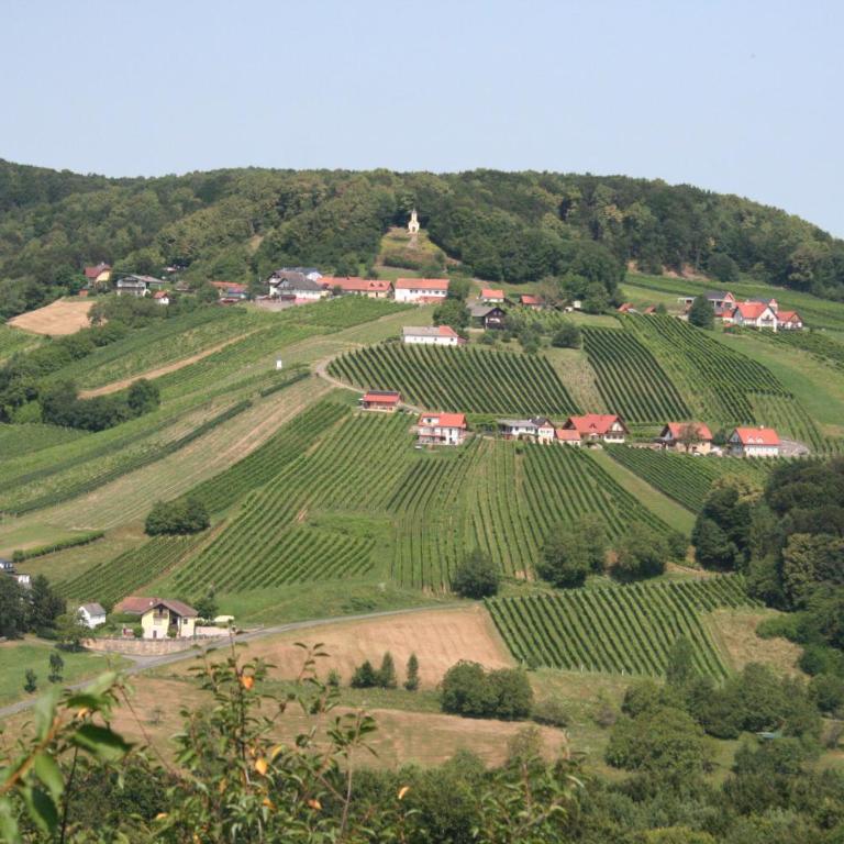 Rebenchalet - Ferienhaus mit 4 Zimmern - 18