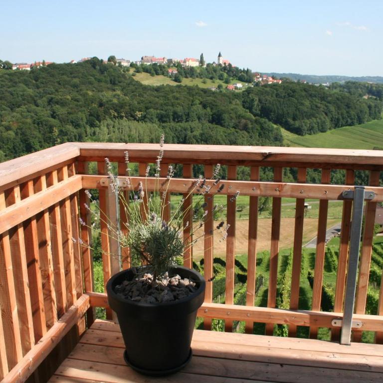 Rebenchalet - Ferienhaus mit 4 Zimmern - 24