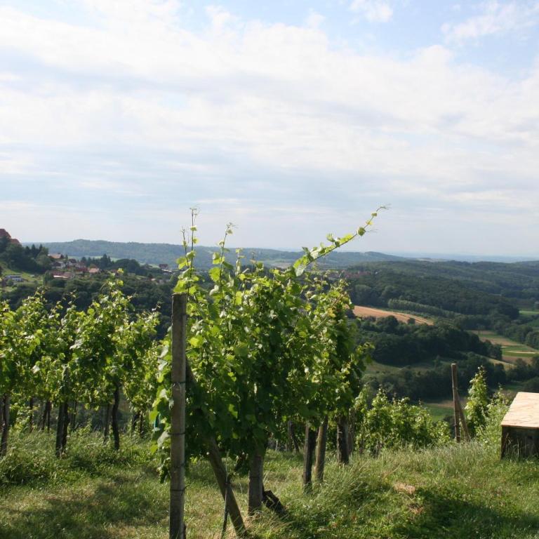 Rebenchalet - Ferienhaus mit 4 Zimmern - 27