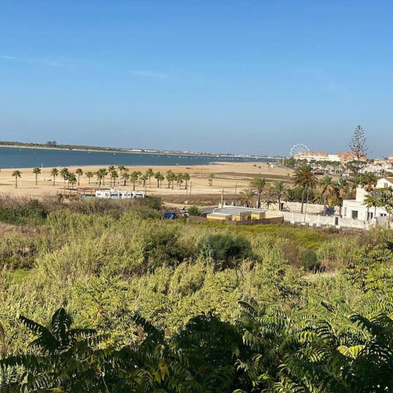 Apartamento Di Matteo, Playa-Piscina - Apartamento de 2 dormitorios - 39