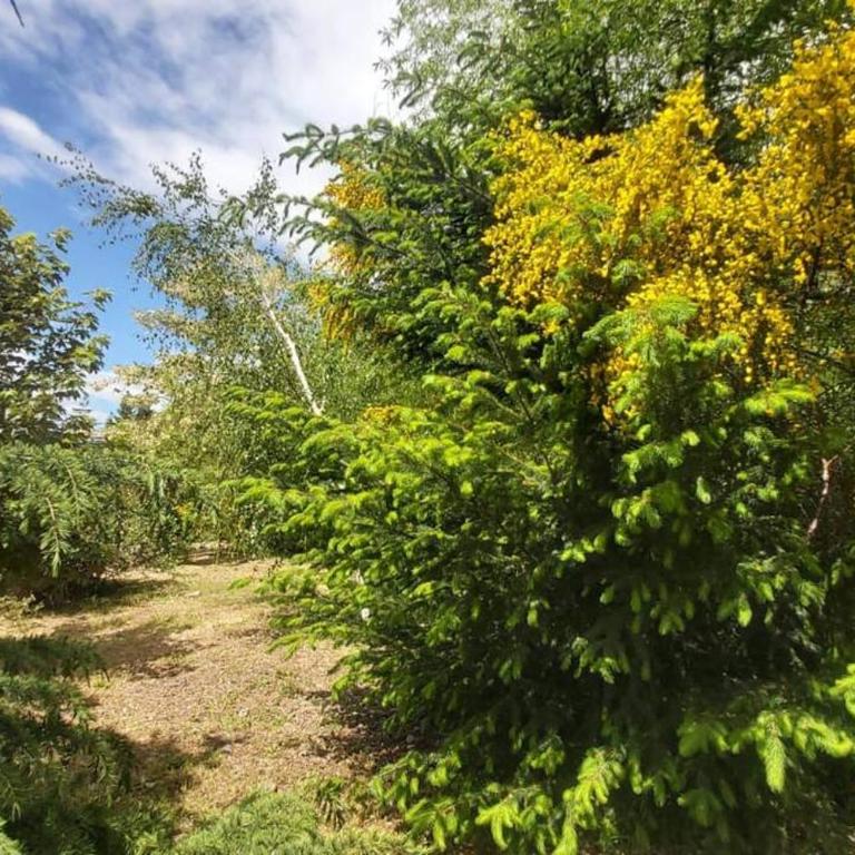 Hermosa casa costa Río Epuyen - Casa de 2 dormitorios - 10