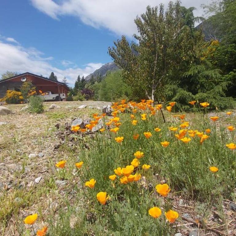 Hermosa casa costa Río Epuyen - Casa de 2 dormitorios - 20