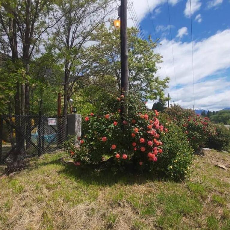 Hermosa casa costa Río Epuyen - Casa de 2 dormitorios - 22