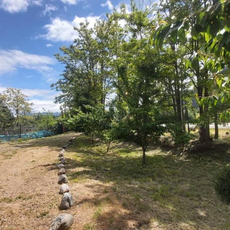 Hermosa casa costa Río Epuyen - Casa de 2 dormitorios - 29