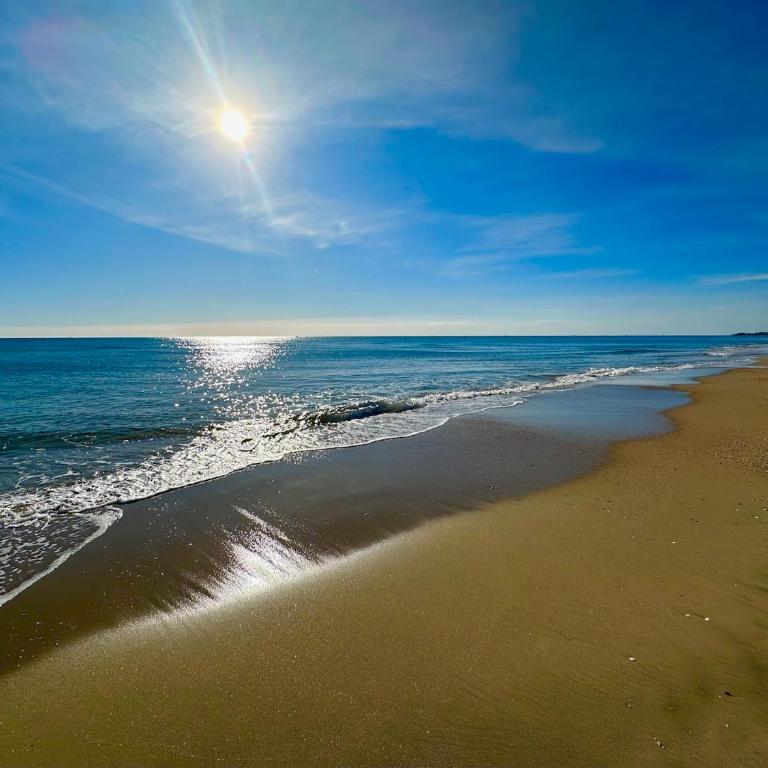 Résidence Le SUNSET Marseillan-plage, entre mer, canal du midi et lagune de Thau, étape vélo, famille, couple, VRP, toutou admis, jardin, parking privé gratuit, vélos, Clim, WIFI fibre gratuite, commodités, plage et piste cyclable à proximité - Apartamento de 2 dormitorios - 38