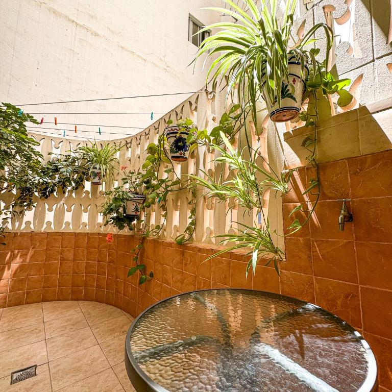 Agustina Apartment - Apartment with Terrace - 12