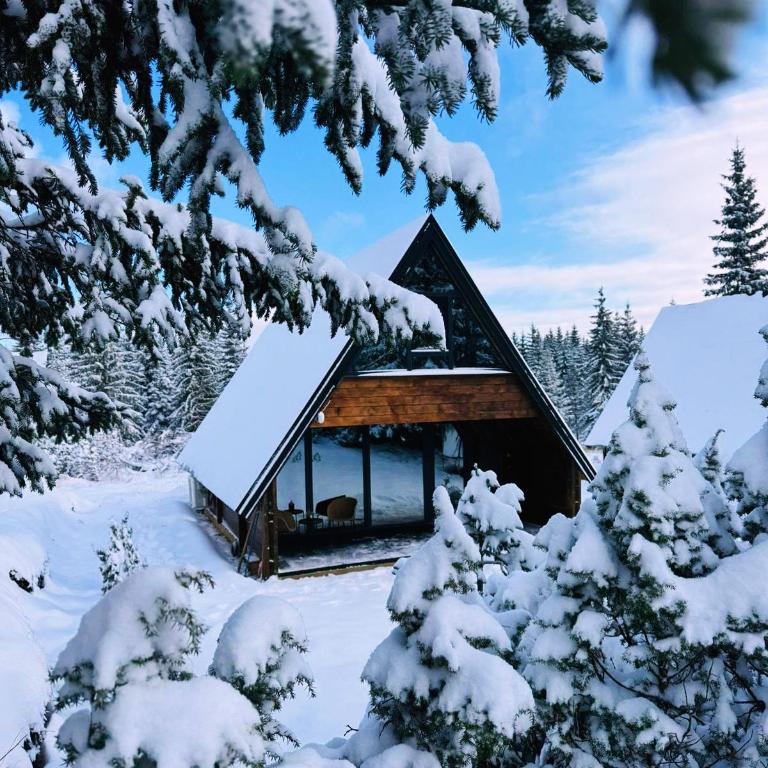 Mountain homes Durmitor3 - Two-Bedroom Villa - 24