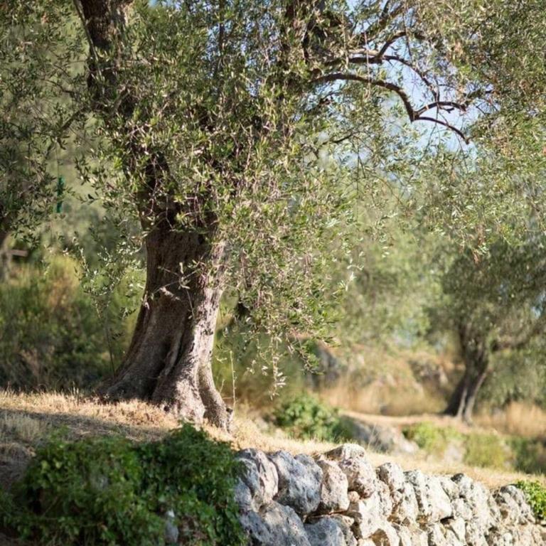 PRINCESS - Valdanos - Studio Apartman s Balkonom - 17