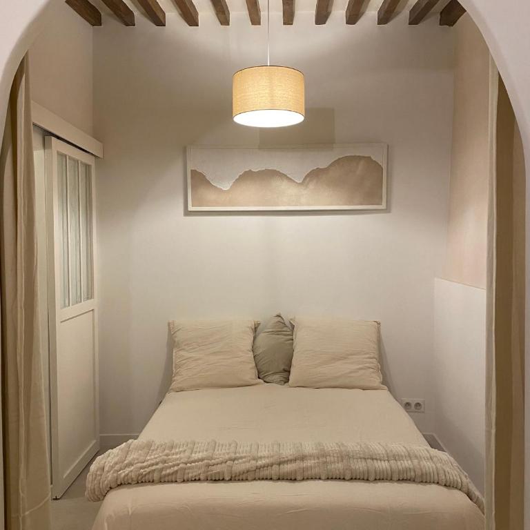 Studio charmant hyper centre - Apartment mit 1 Schlafzimmer - 1