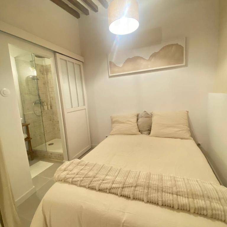 Studio charmant hyper centre - Apartment mit 1 Schlafzimmer - 4