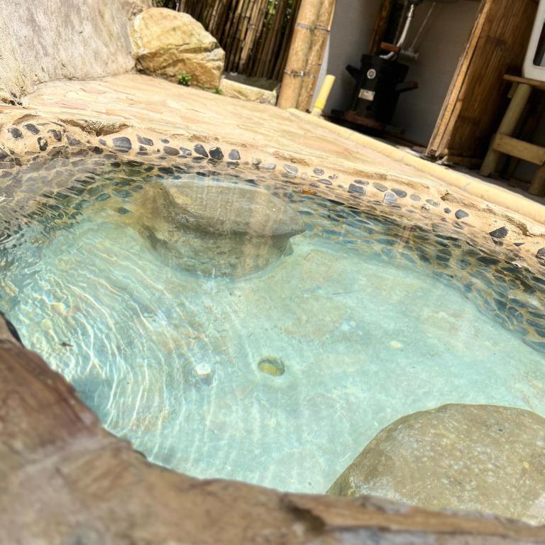 Cabaña Glamping vista verde Cocorna - Tienda - 1