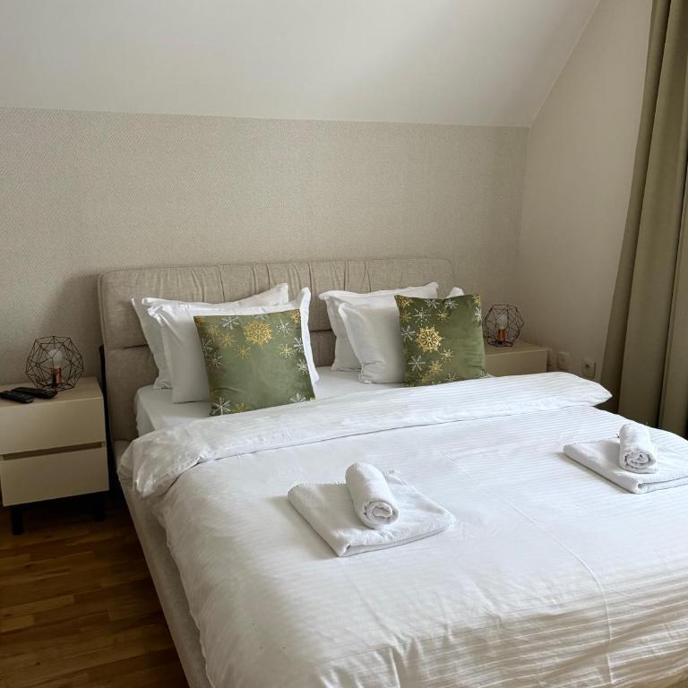 Mountain house Vilina rosa - Apartman sa 2 Spavaće Sobe - 2