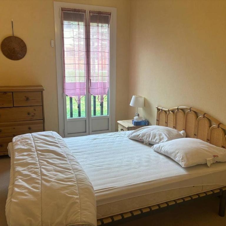 2 Pièces au pied des pistes avec parking - Appartement 1 Chambre - 5