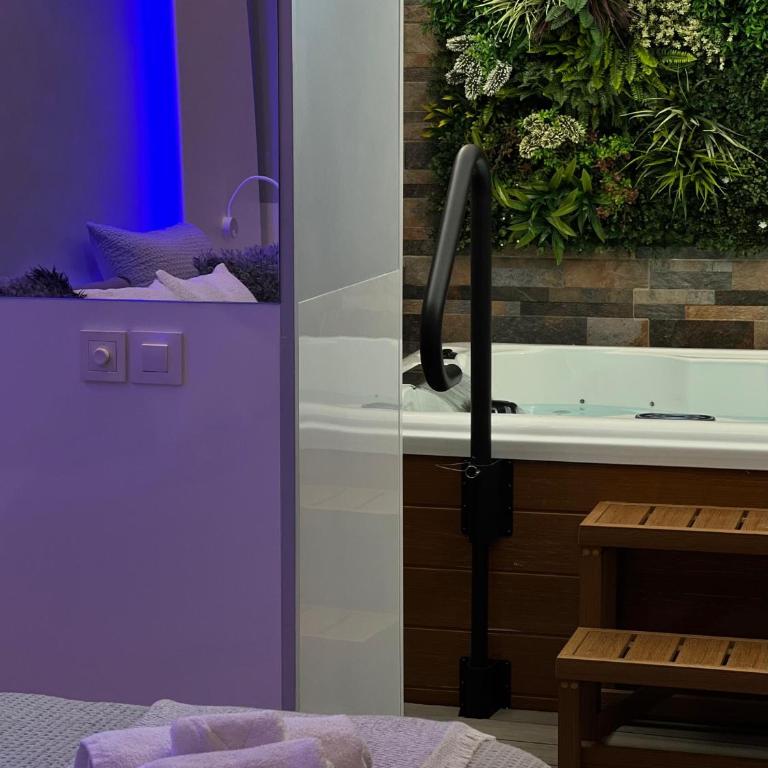 BASTINAZO ALOHADREAM - EXCLUSIVO - Design Suite Luxury Love and Spa - Jacuzzi y Sauna Privados - Apartamento de 1 dormitorio con bañera de hidromasaje - 4