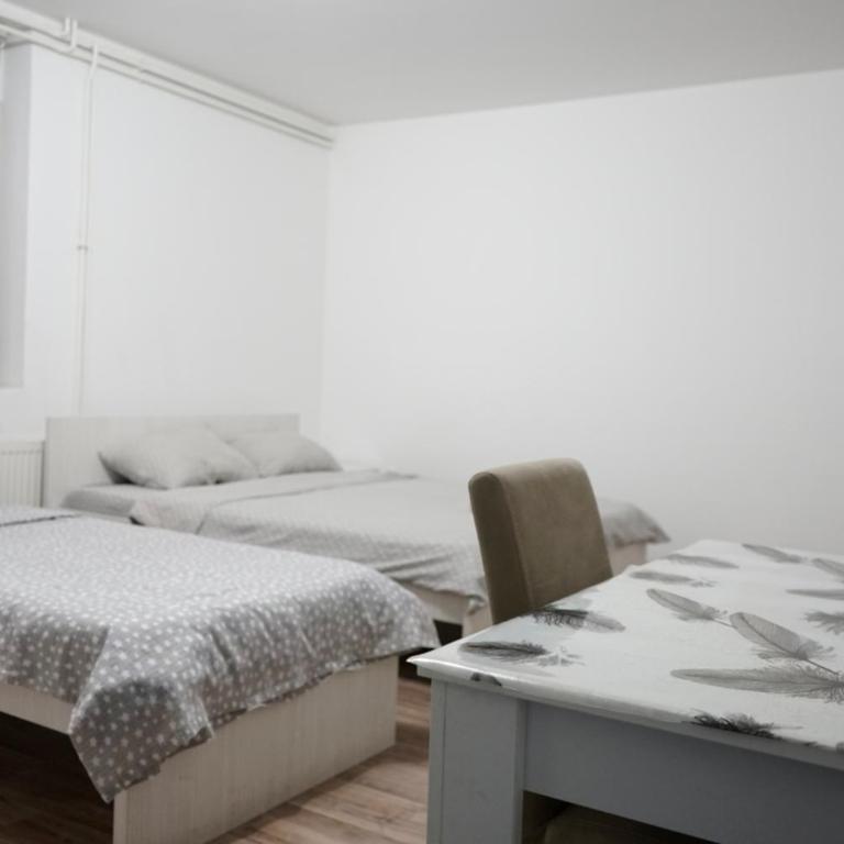 Sobe Jovan - Apartman sa 1 Spavaćom Sobom - 4