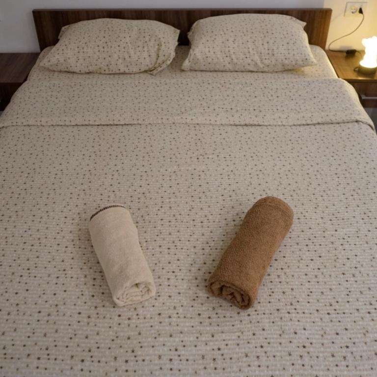 Sobe Jovan - Apartman sa 1 Spavaćom Sobom - 2