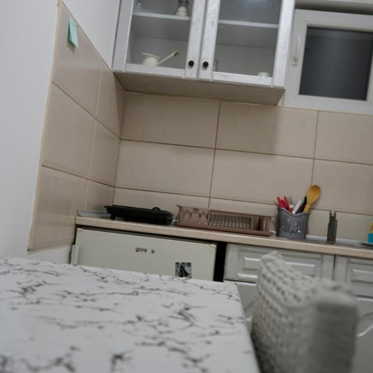 Sobe Jovan - Apartman sa 1 Spavaćom Sobom - 2