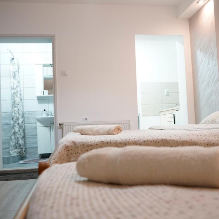 Sobe Jovan - Apartman sa 1 Spavaćom Sobom - 7