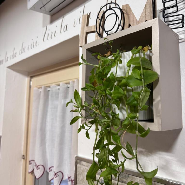 Residenze Vezza - Home sweet home- - Apartment - 18