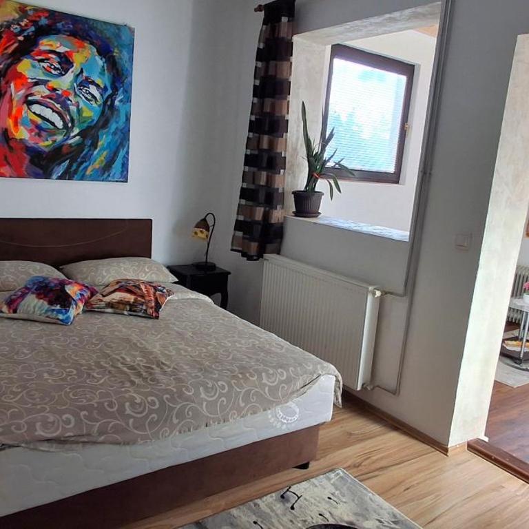 Villa Ruža Apartments - Apartman s 1 Spavaćom Sobom i Terasom - 9