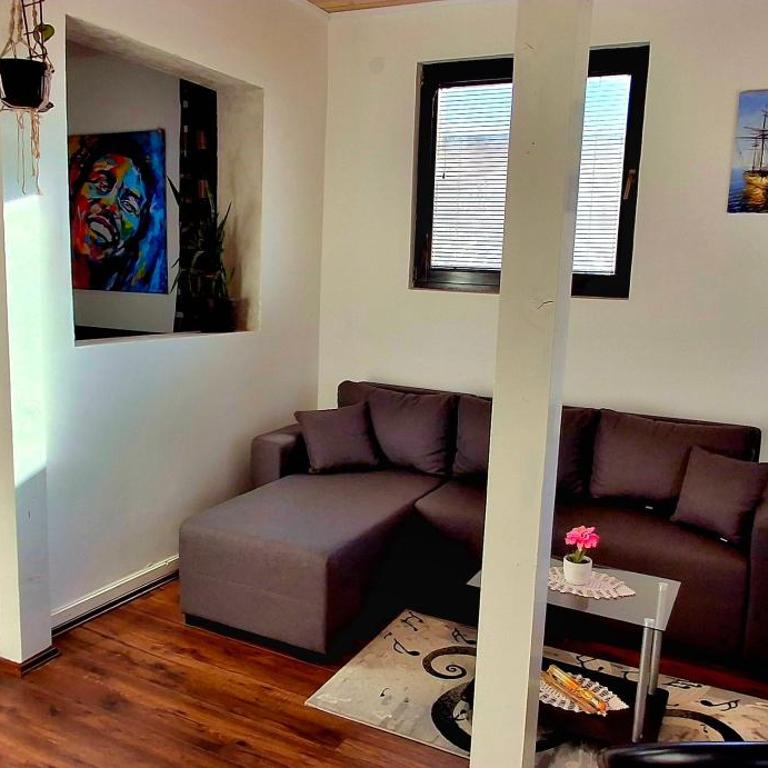 Villa Ruža Apartments - Apartman s 1 Spavaćom Sobom i Terasom - 14