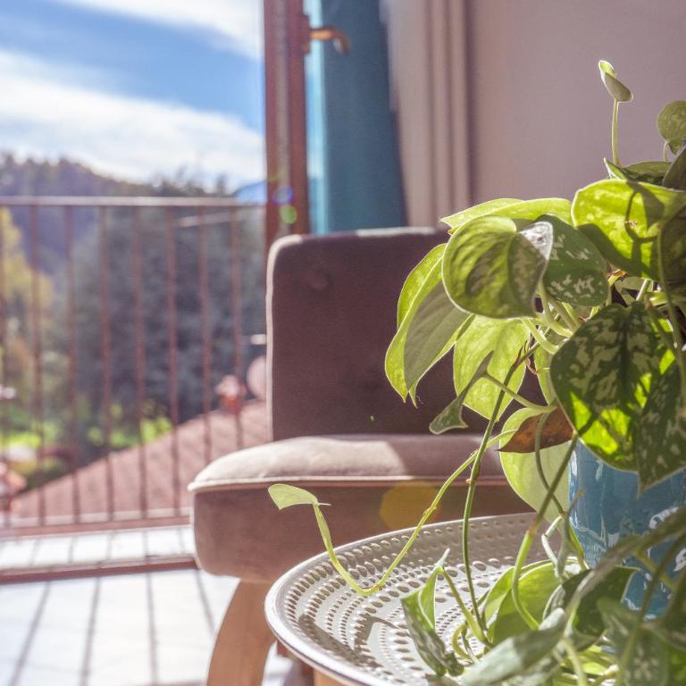 Larius Apartment - Como Lake View - Free Parking - Appartamento con 1 Camera da Letto - 16
