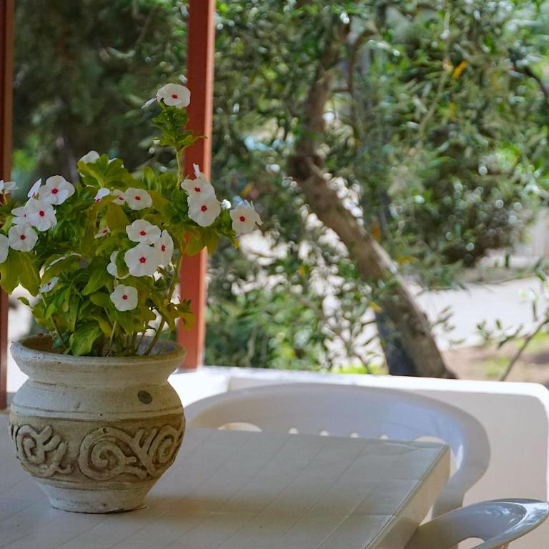 Residence Porticello - Two-Bedroom Apartment with Garden View - 10