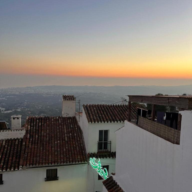 ALMAFUERTE - Apartamento de 1 dormitorio - 36