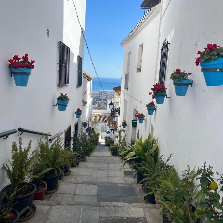 ALMAFUERTE - Apartamento de 1 dormitorio - 43