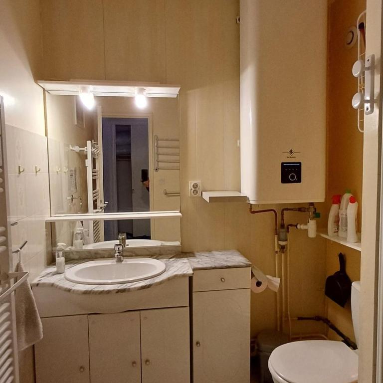 Studio 38m² 6 pers, animaux acceptés, proche des pistes - FR-1-636-12 - Studio - 11