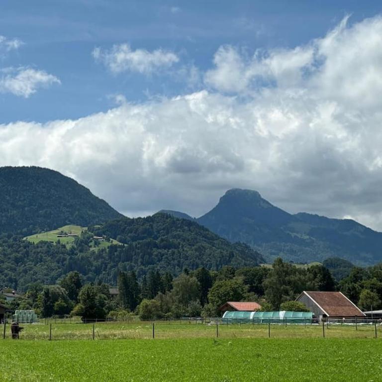4 Star Maisonnette mit Kaiser Blick, Sauna, Schwimmbad - Maisonette - 4