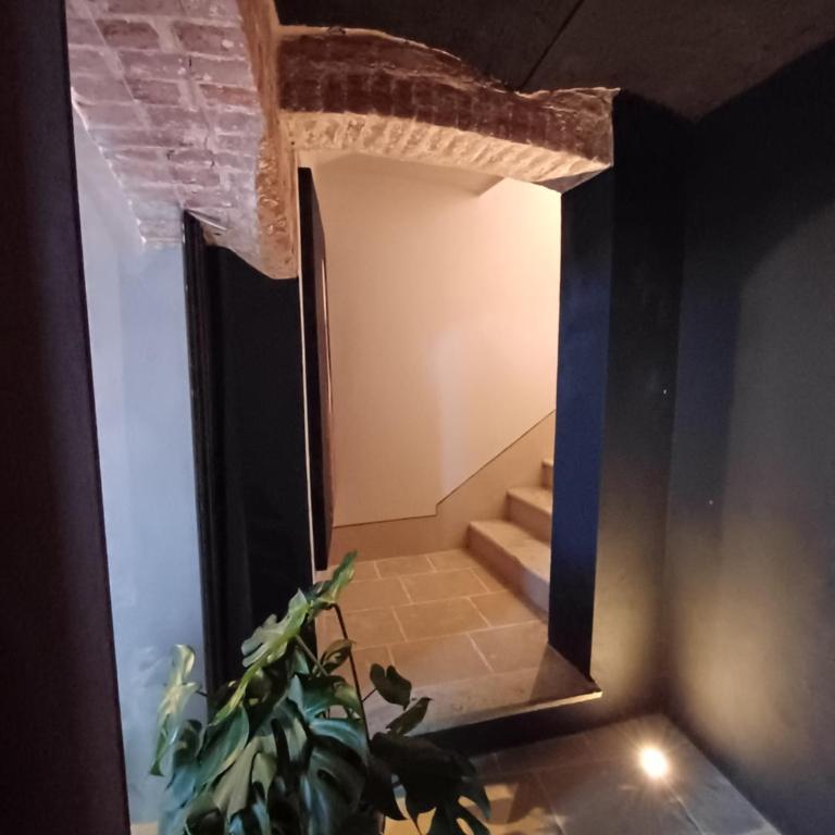 Santo Stefano Resort -Rondini - Vicoforte - Appartamento con 1 Camera da Letto - 7
